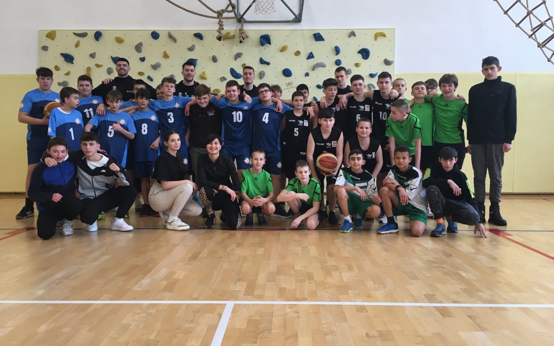 Področno tekmovanje v košarki